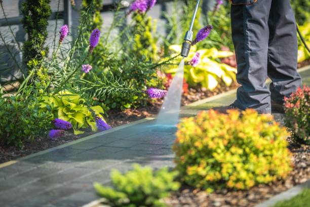 Reliable Inkster, MI Pressure Washing Services Solutions