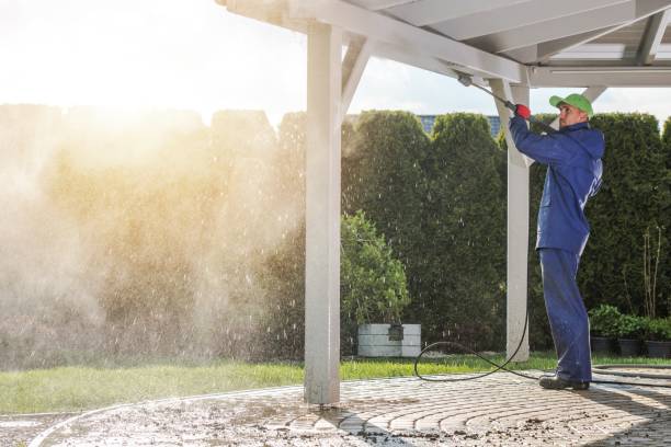 Best Rust Removal  in Inkster, MI